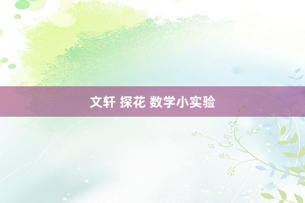 文轩 探花 数学小实验