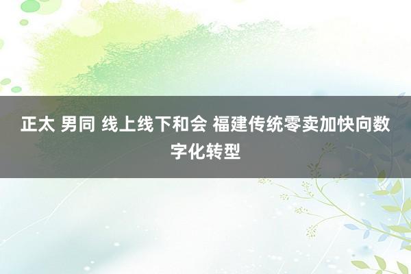 正太 男同 线上线下和会 福建传统零卖加快向数字化转型