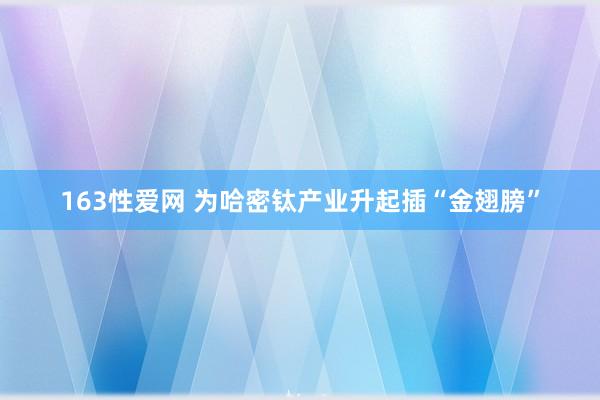 163性爱网 为哈密钛产业升起插“金翅膀”