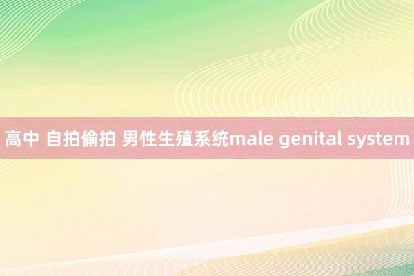 高中 自拍偷拍 男性生殖系统male genital system